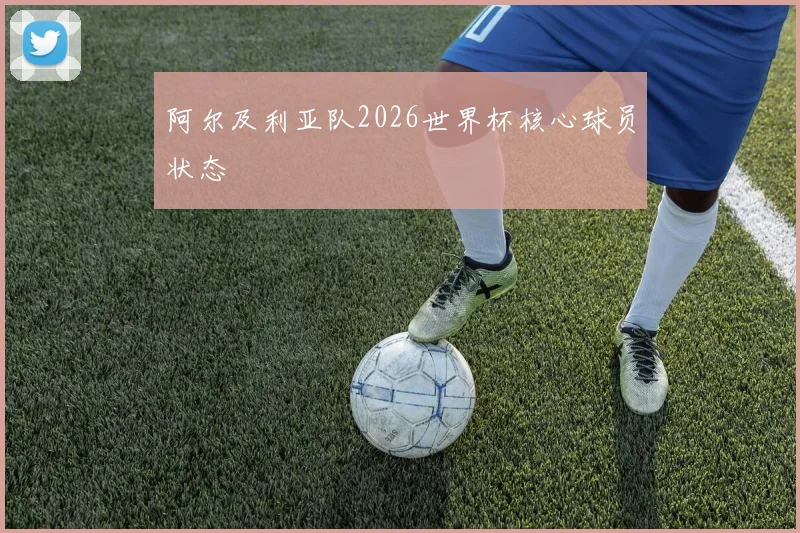 阿尔及利亚队2026世界杯核心球员状态