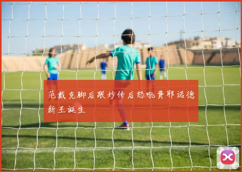 范戴克脚后跟妙传后怒吼费耶诺德新王诞生