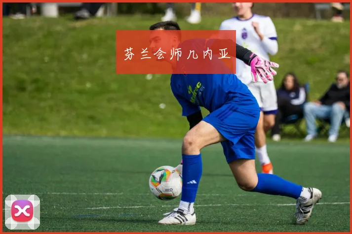 芬兰会师几内亚