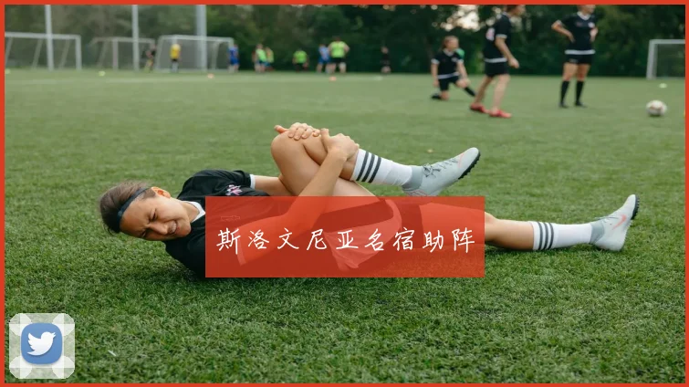 斯洛文尼亚名宿助阵