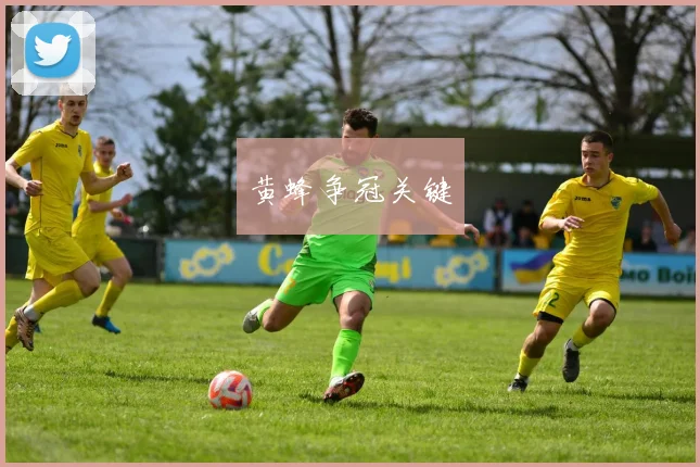 黄蜂争冠关键