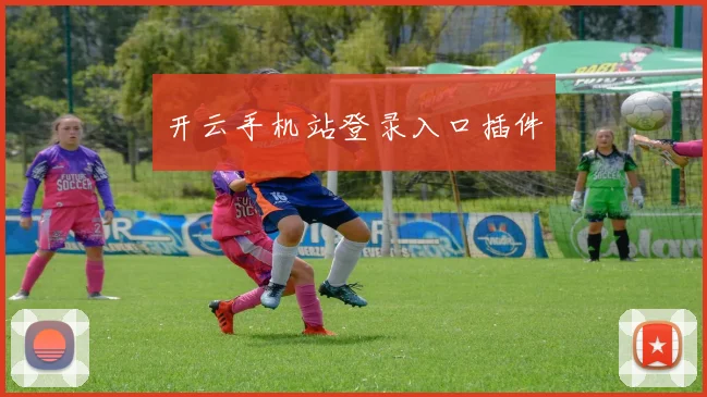 开云手机站登录入口插件