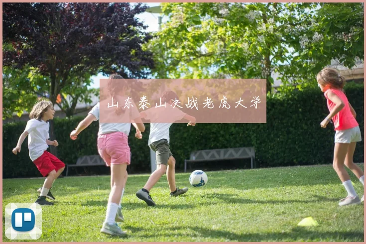 山东泰山决战老虎大学