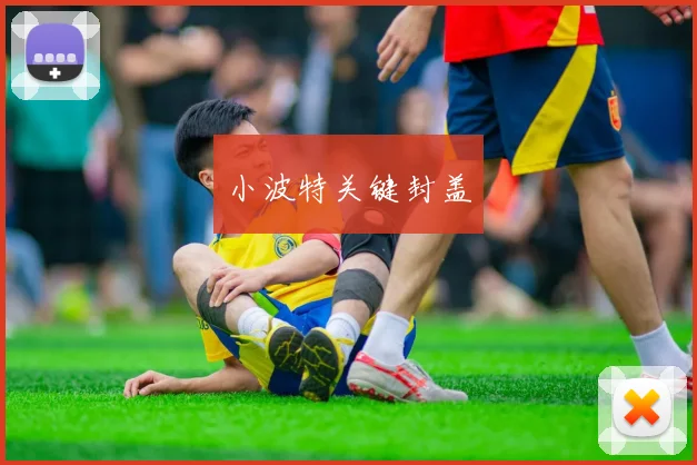 小波特关键封盖