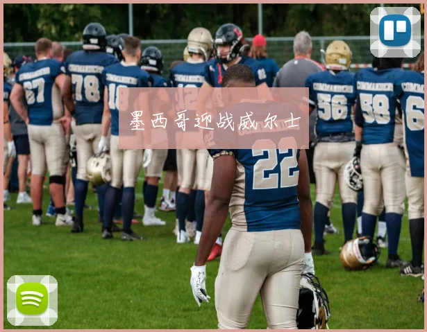 墨西哥迎战威尔士