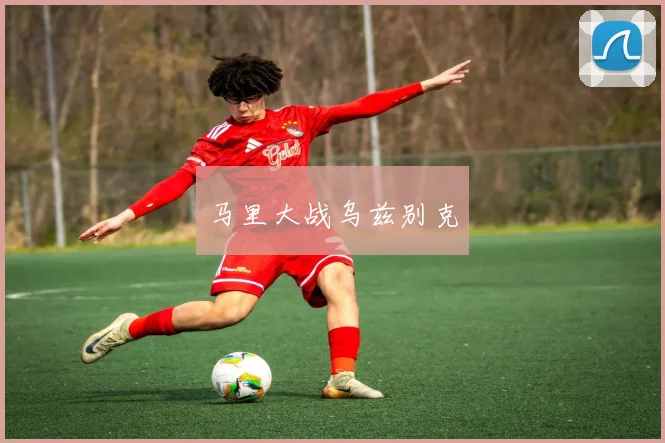 马里大战乌兹别克