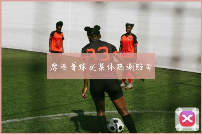 摩洛哥球迷集体跪谢赔率