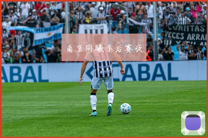 南京同曦季后赛夜
