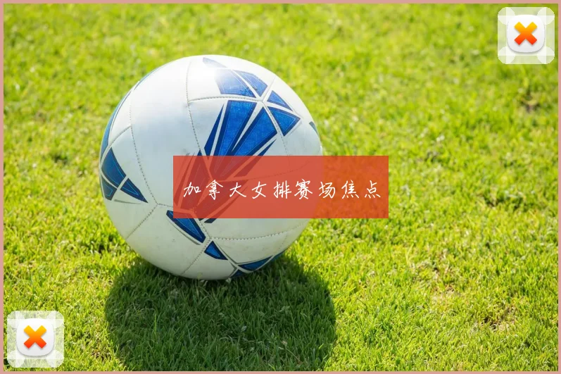 加拿大女排赛场焦点