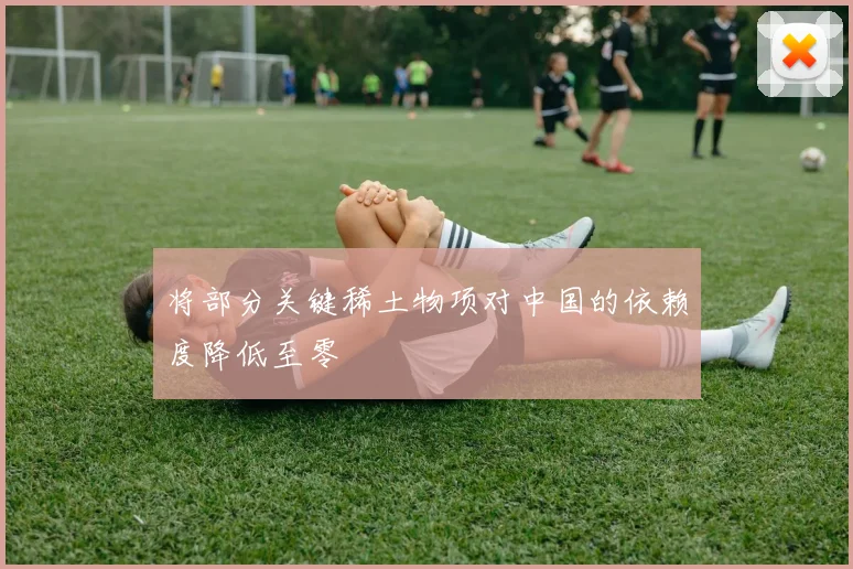 将部分关键稀土物项对中国的依赖度降低至零