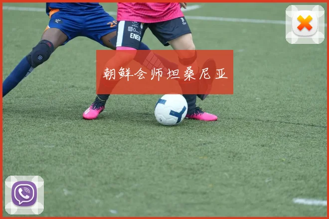 朝鲜会师坦桑尼亚