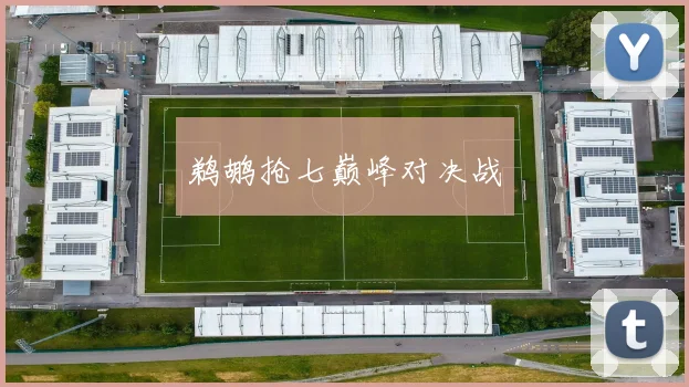 鹈鹕抢七巅峰对决战