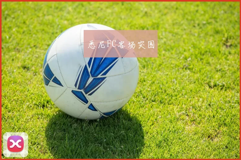 悉尼FC客场突围