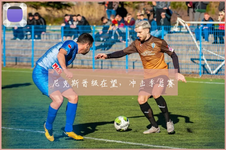尼克斯晋级在望，冲击季后赛