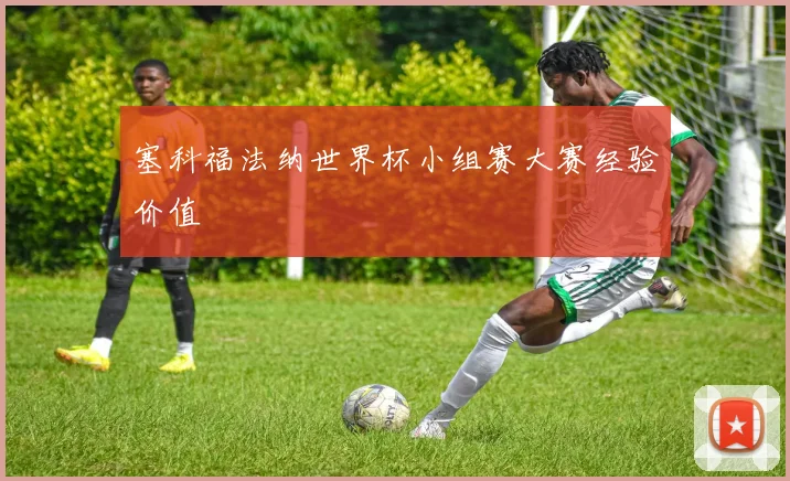 塞科福法纳世界杯小组赛大赛经验价值