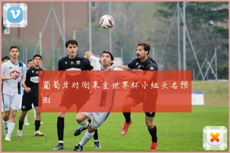 葡萄牙对刚果金世界杯小组头名预测