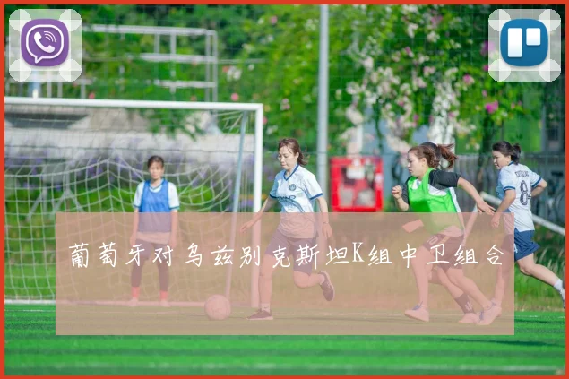 葡萄牙对乌兹别克斯坦K组中卫组合