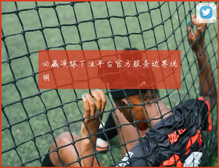 必赢滚球下注平台官方服务边界说明